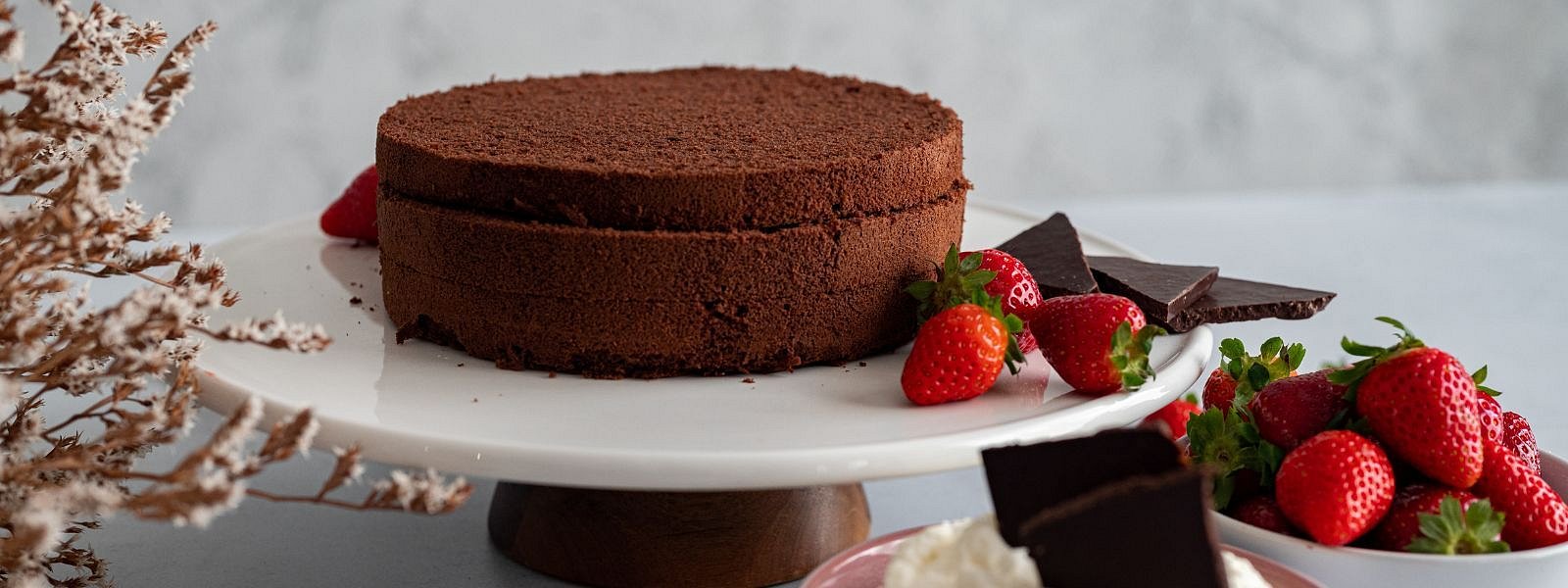 Čokoládový korpus